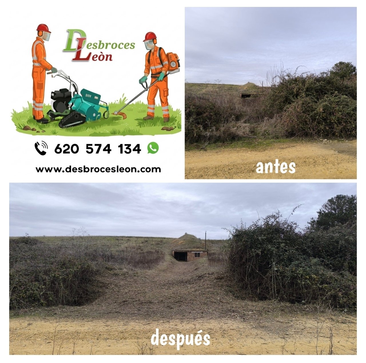 Trabajo de jardinería