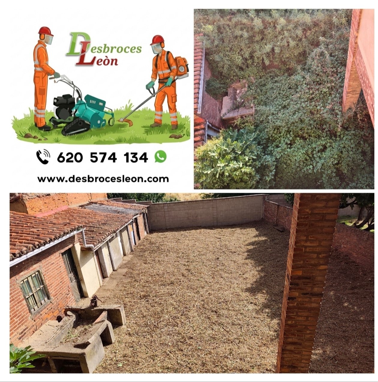 Trabajo de jardinería