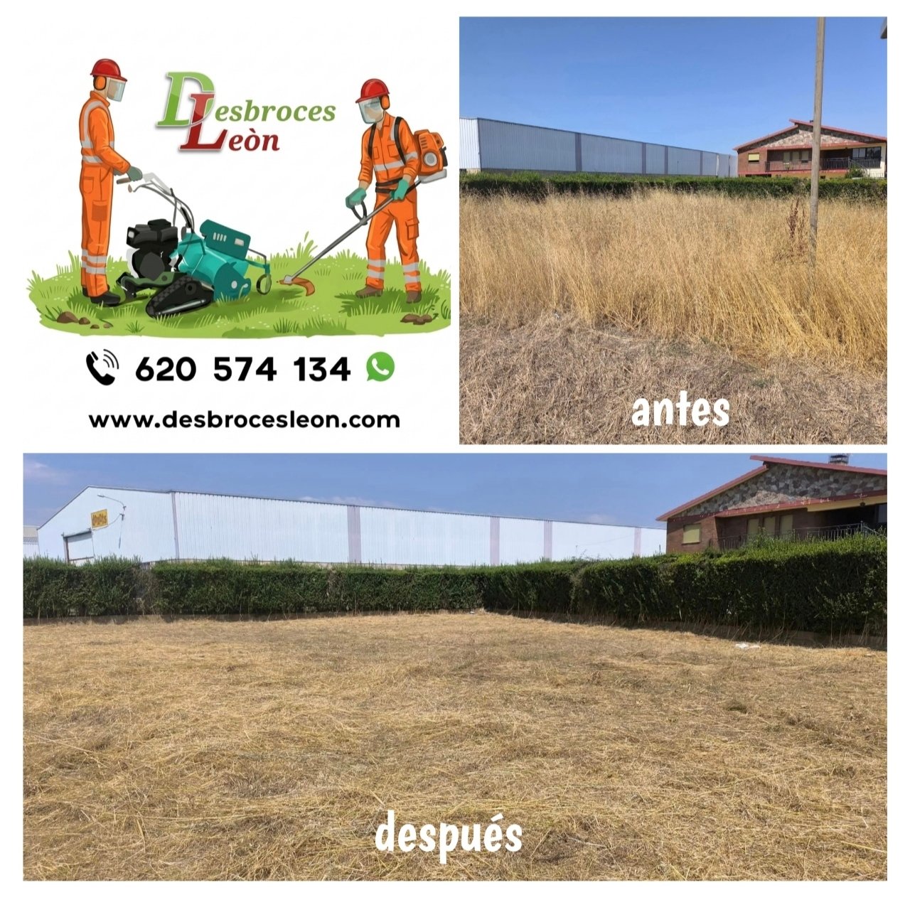 Trabajo de jardinería