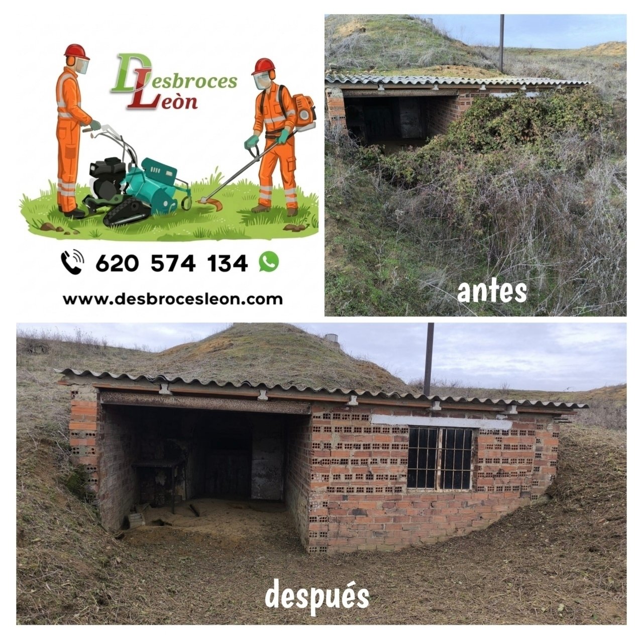 Trabajo de jardinería