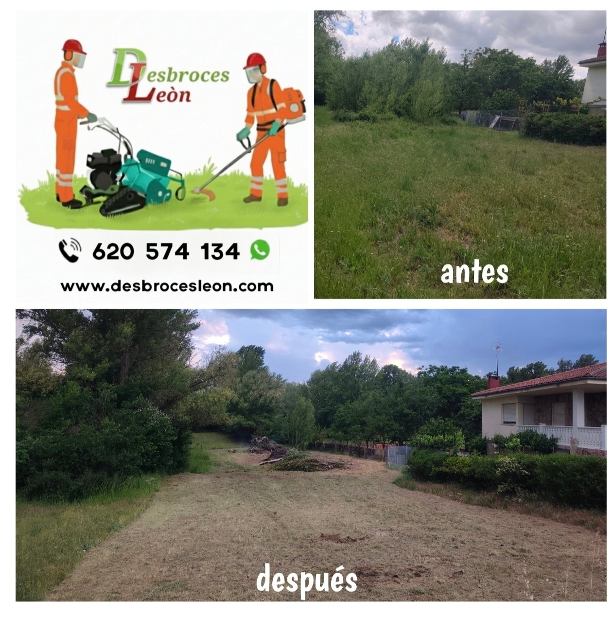 Trabajo de jardinería