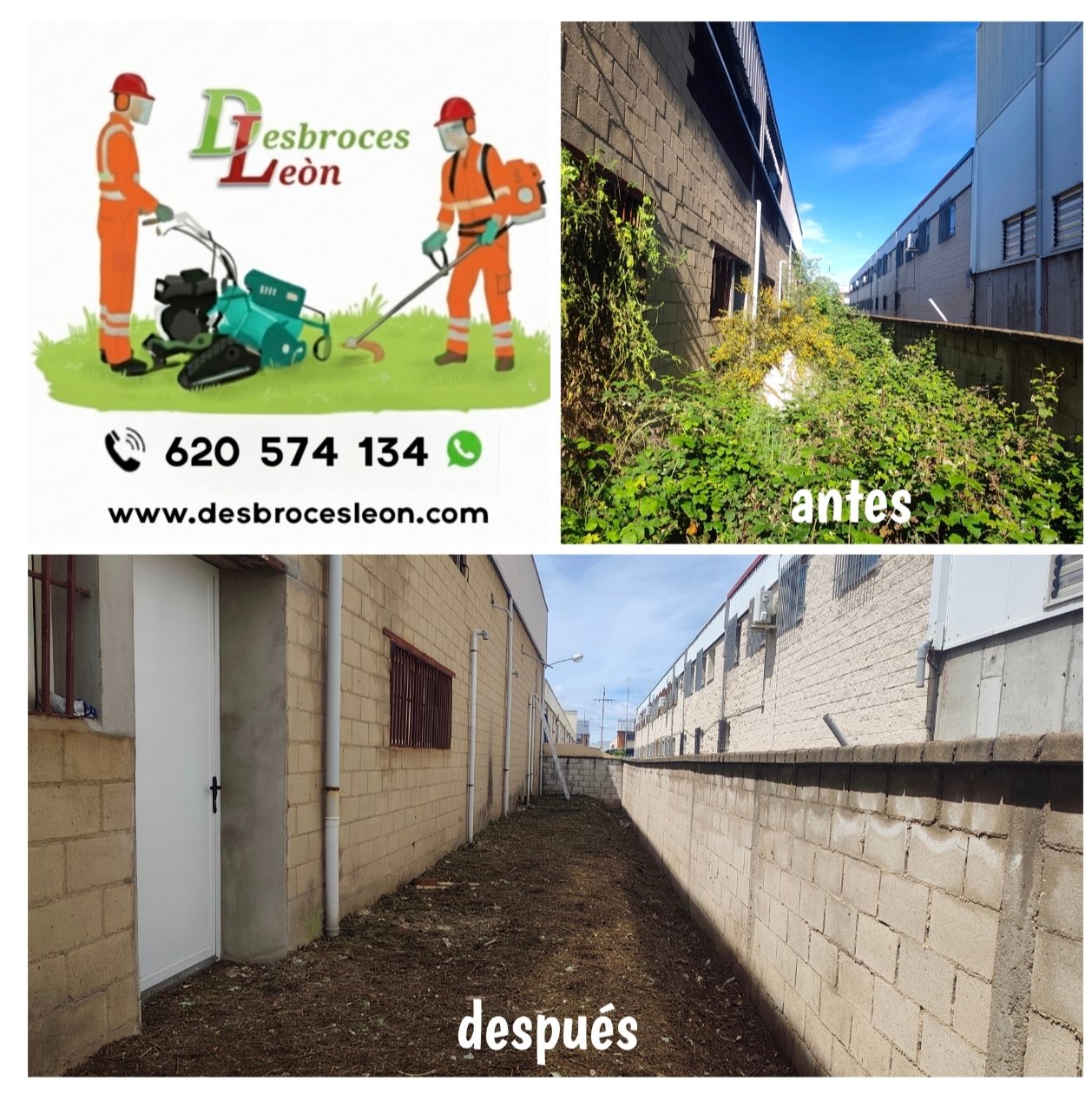 Trabajo de jardinería