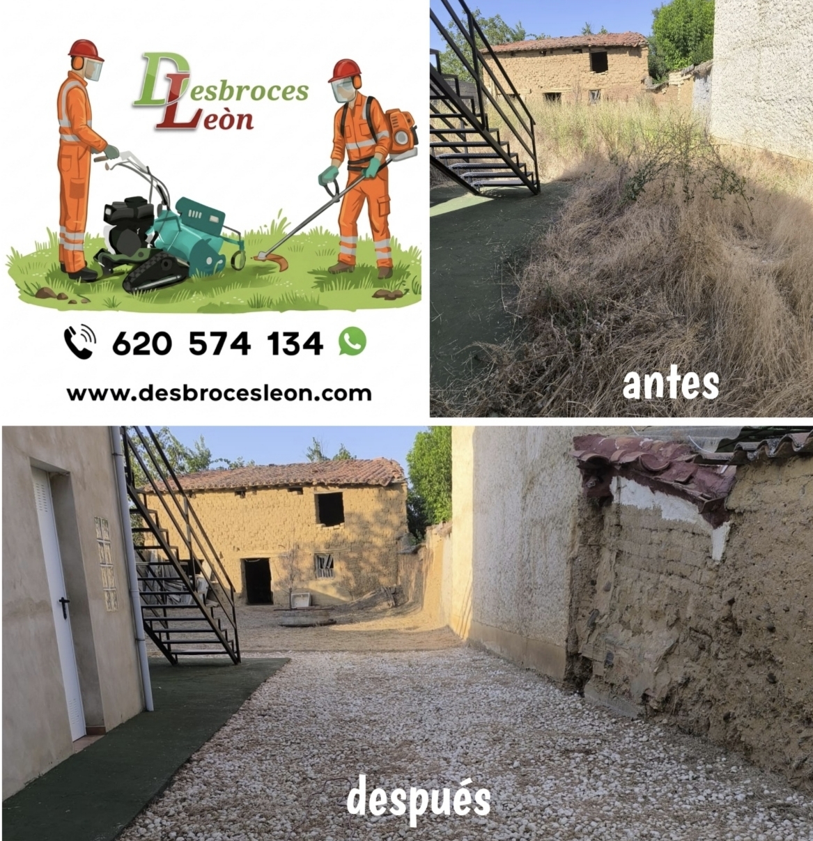 Trabajo de jardinería