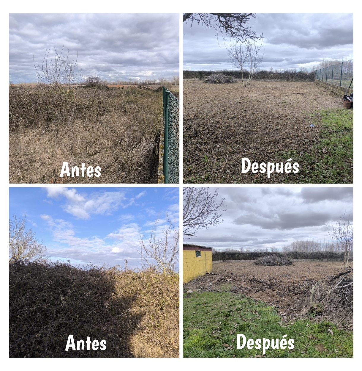 Trabajo de jardinería