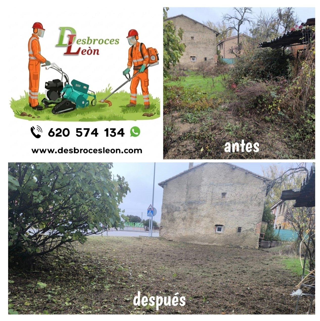 Trabajo de jardinería