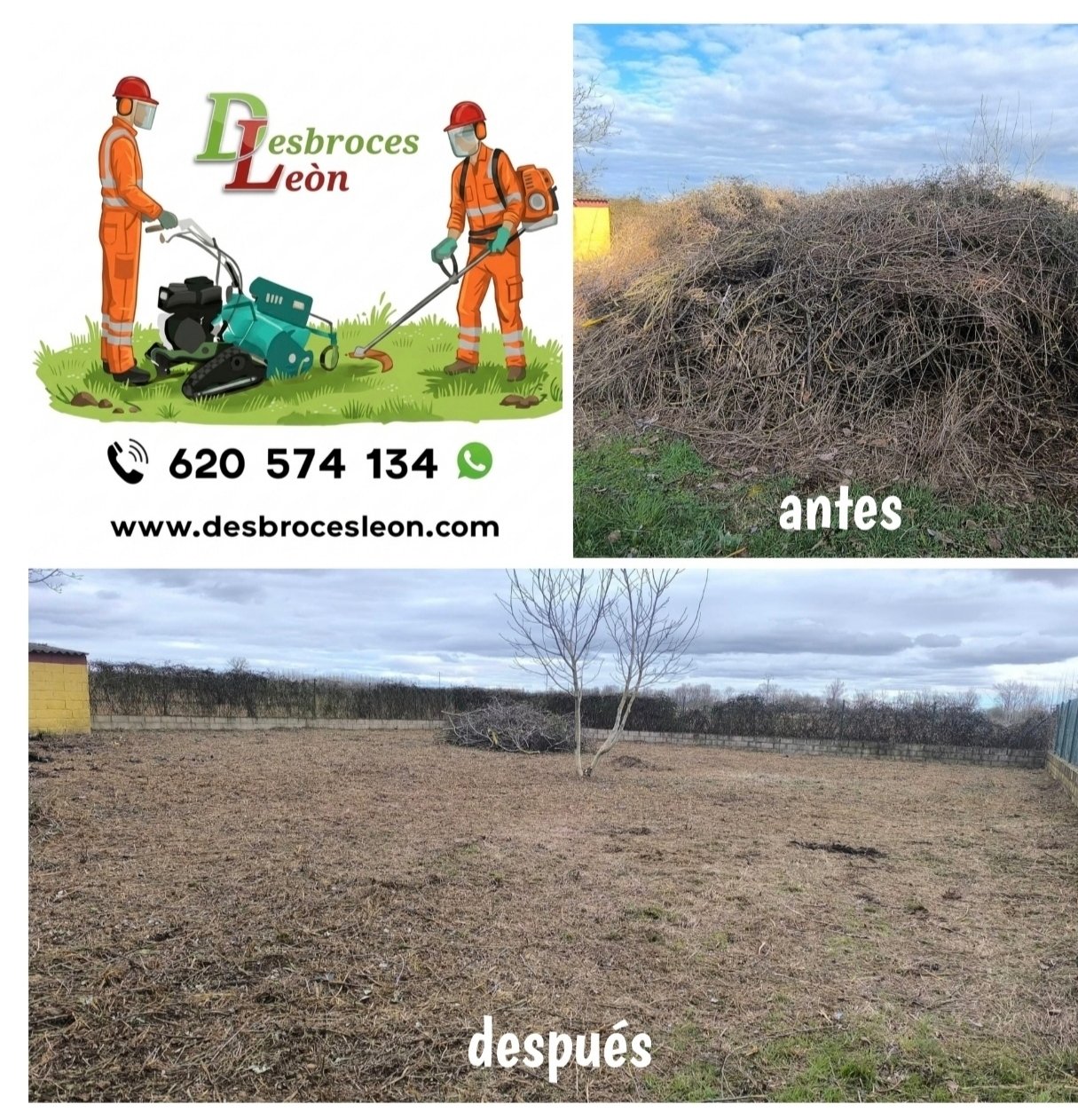 Trabajo de jardinería