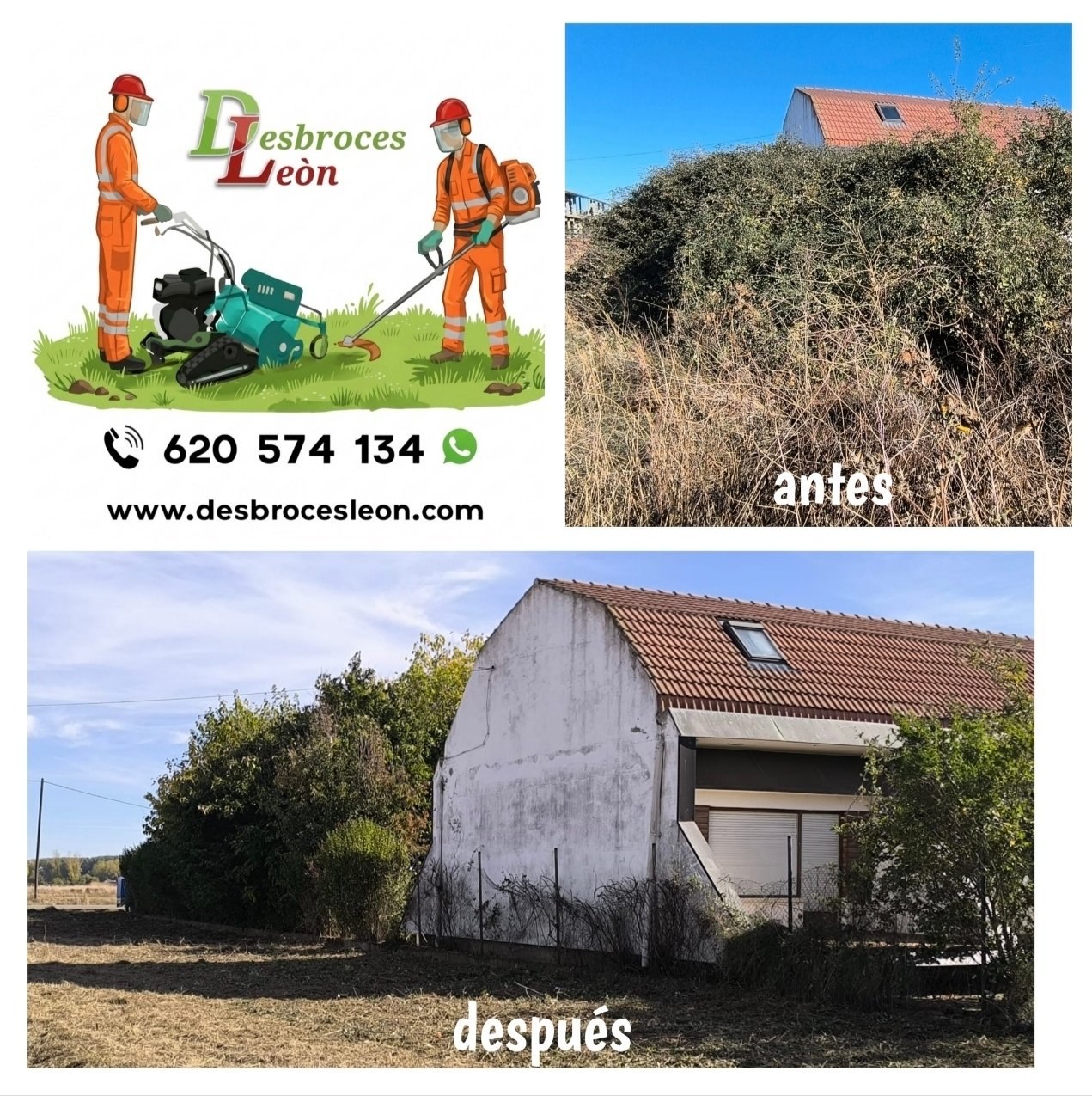 Trabajo de jardinería