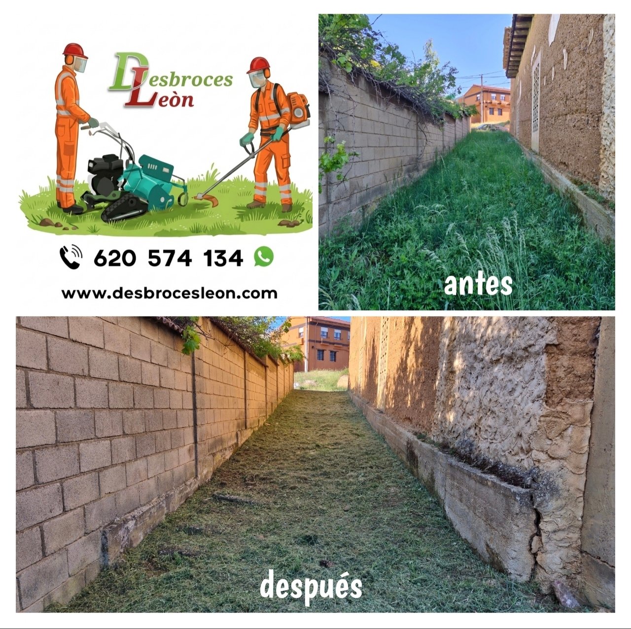 Trabajo de jardinería