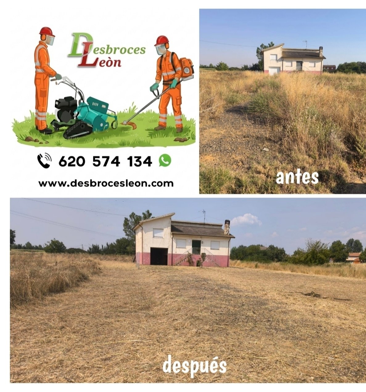 Trabajo de jardinería